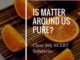 Class 9 NCERT Solutions