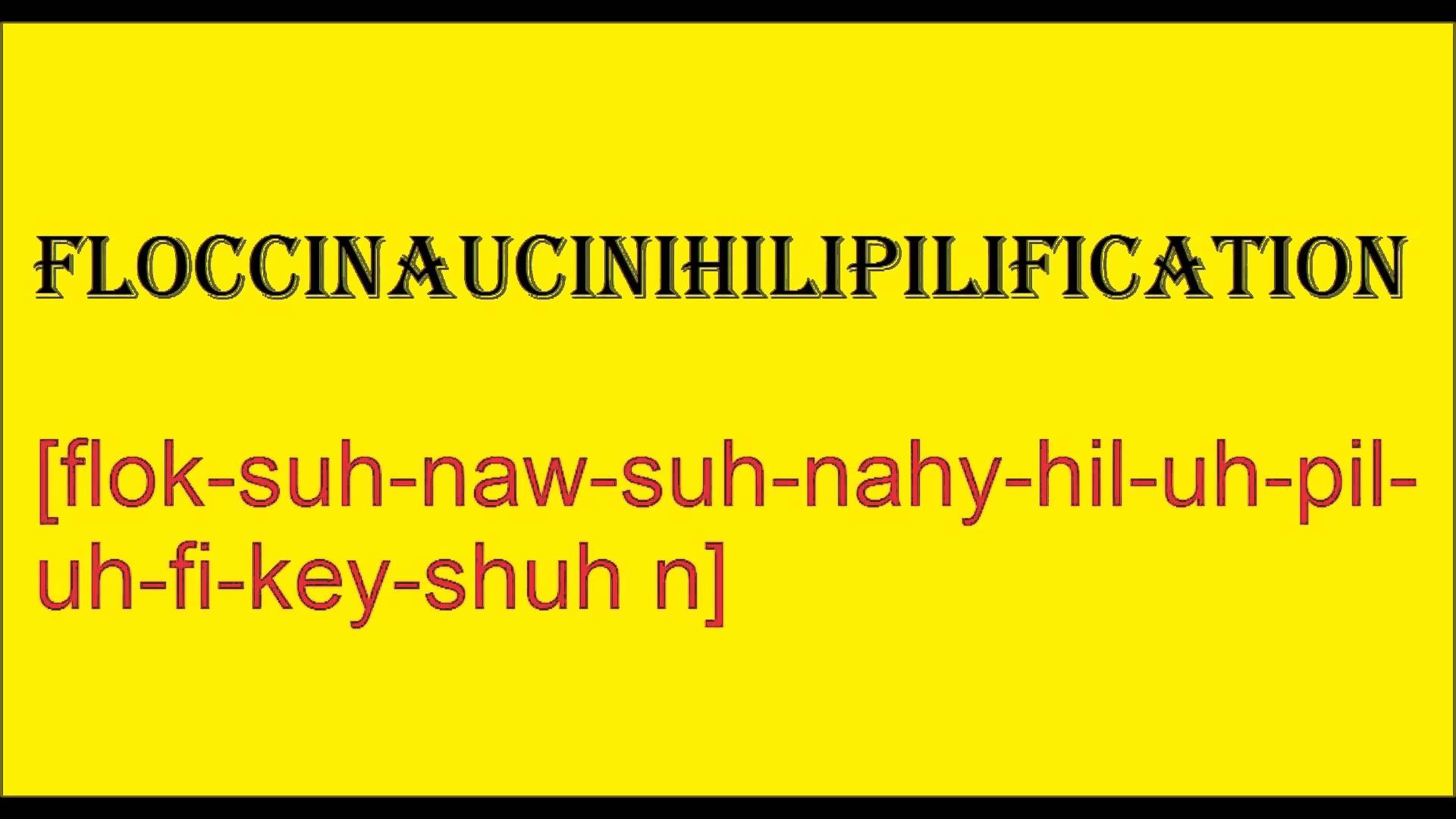 Floccinaucinihilipilification