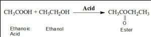 Esterification Class 10