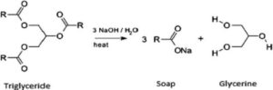 Saponification Equation Class 10