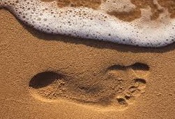 Footprints without Feet Summary 