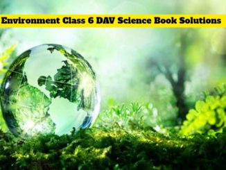 dav science book class 6 solutions