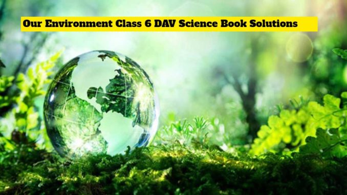 dav science book class 6 solutions