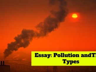 Essay on Pollution