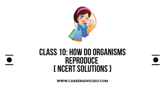 How do organisms Reproduce Solutions