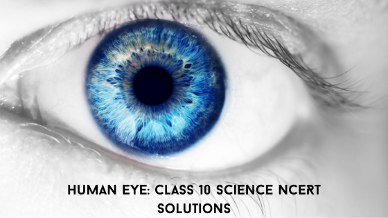 Human Eye Class 10 NCERT Solutions