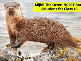 Mijbil The Otter NCERT Solutions