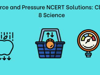 Force and Pressure NCERT Solutions