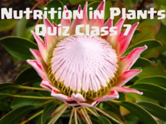 Nutrition in Plants Class 7 science Quiz