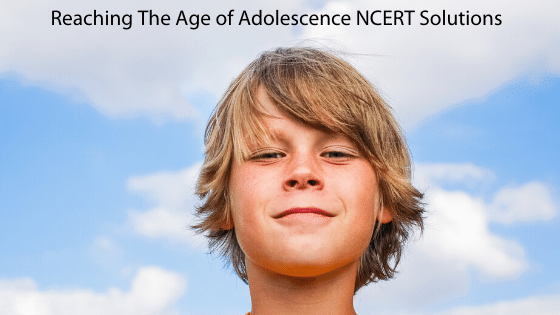 Reaching The Age of Adolescence NCERT Solutions