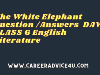 The White Elephant Question Answers