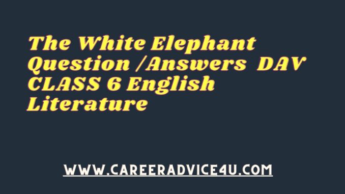 The White Elephant Question Answers