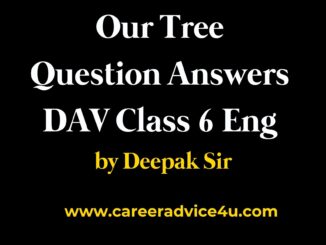 Our tree question answers