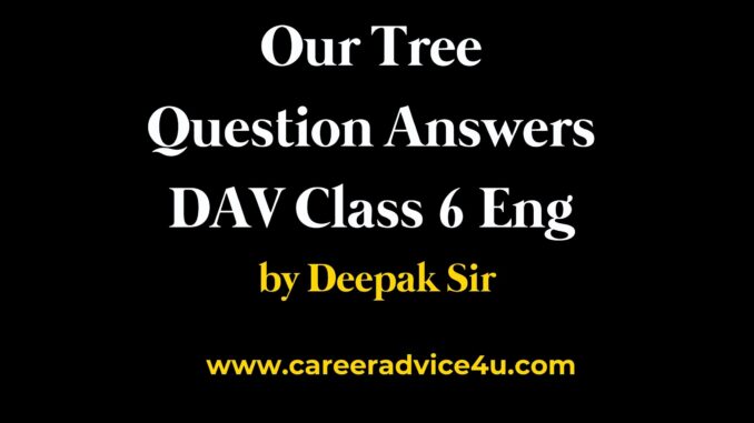 Our tree question answers