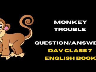 monkey trouble question answers DAV