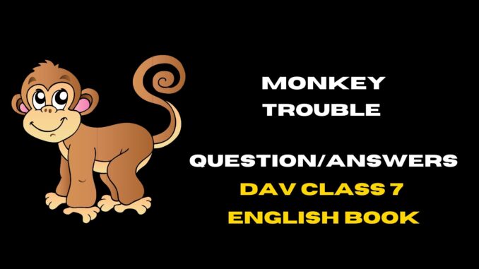 monkey trouble question answers DAV