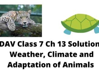 DAV Class 7 Science Chapter 13 Solutions
