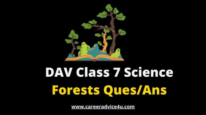 DAV Class 7 Science Chapter 15 Solutions