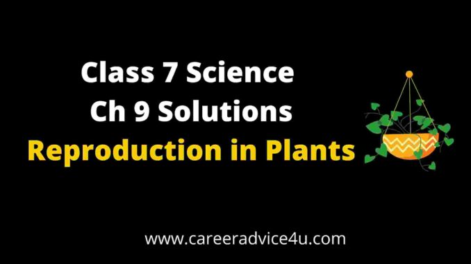 Reproduction in Plants DAV Class 7 Science